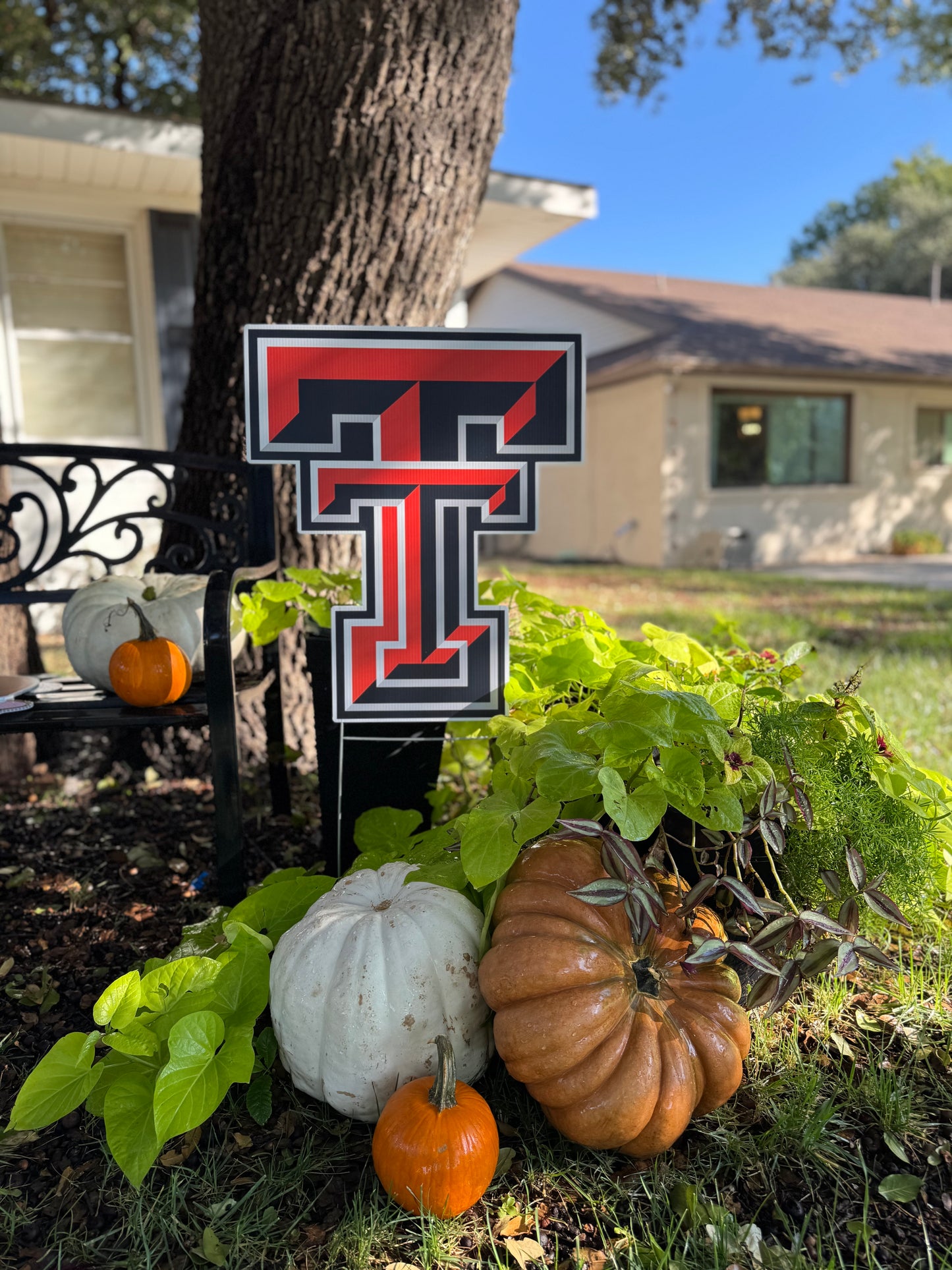 Texas Tech Yard Signs
