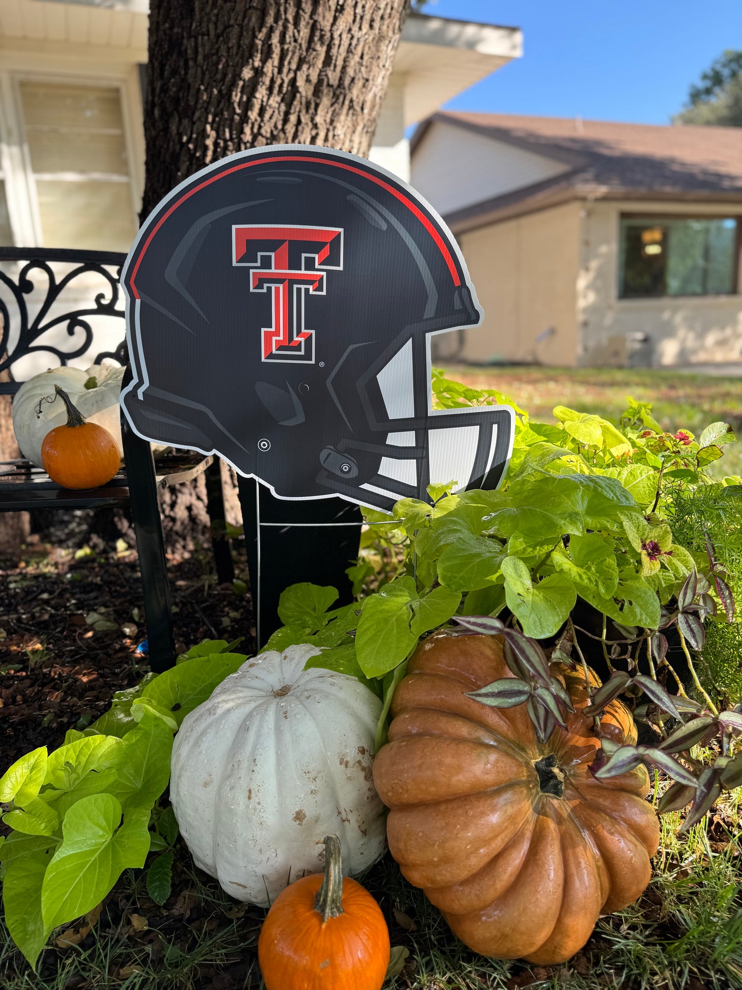 Texas Tech Yard Signs